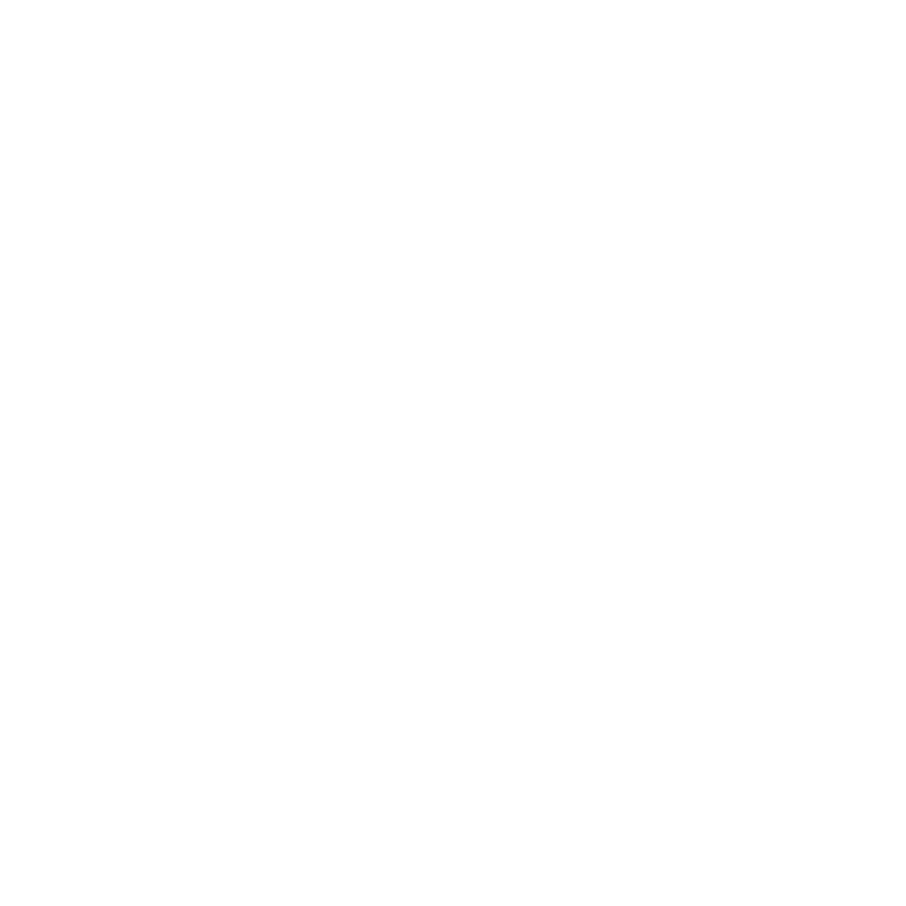 Megflux Logo-06